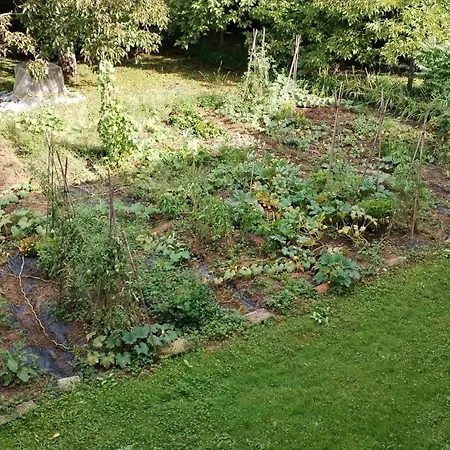 Kır Evi Stasion Di Pueste