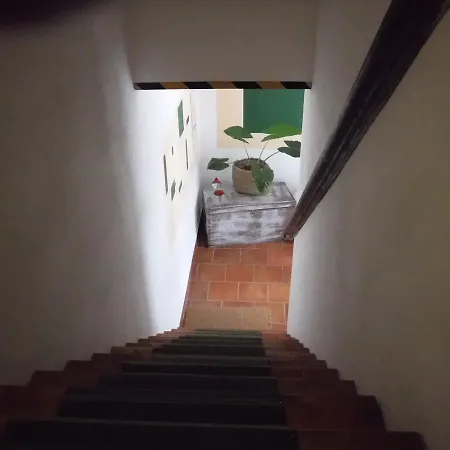 Stasion Di Pueste * Nogaredo