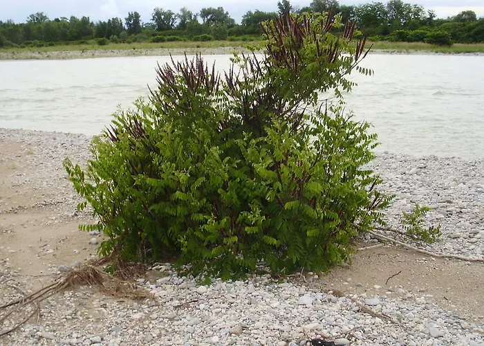 Casa di campagna Stasion Di Pueste